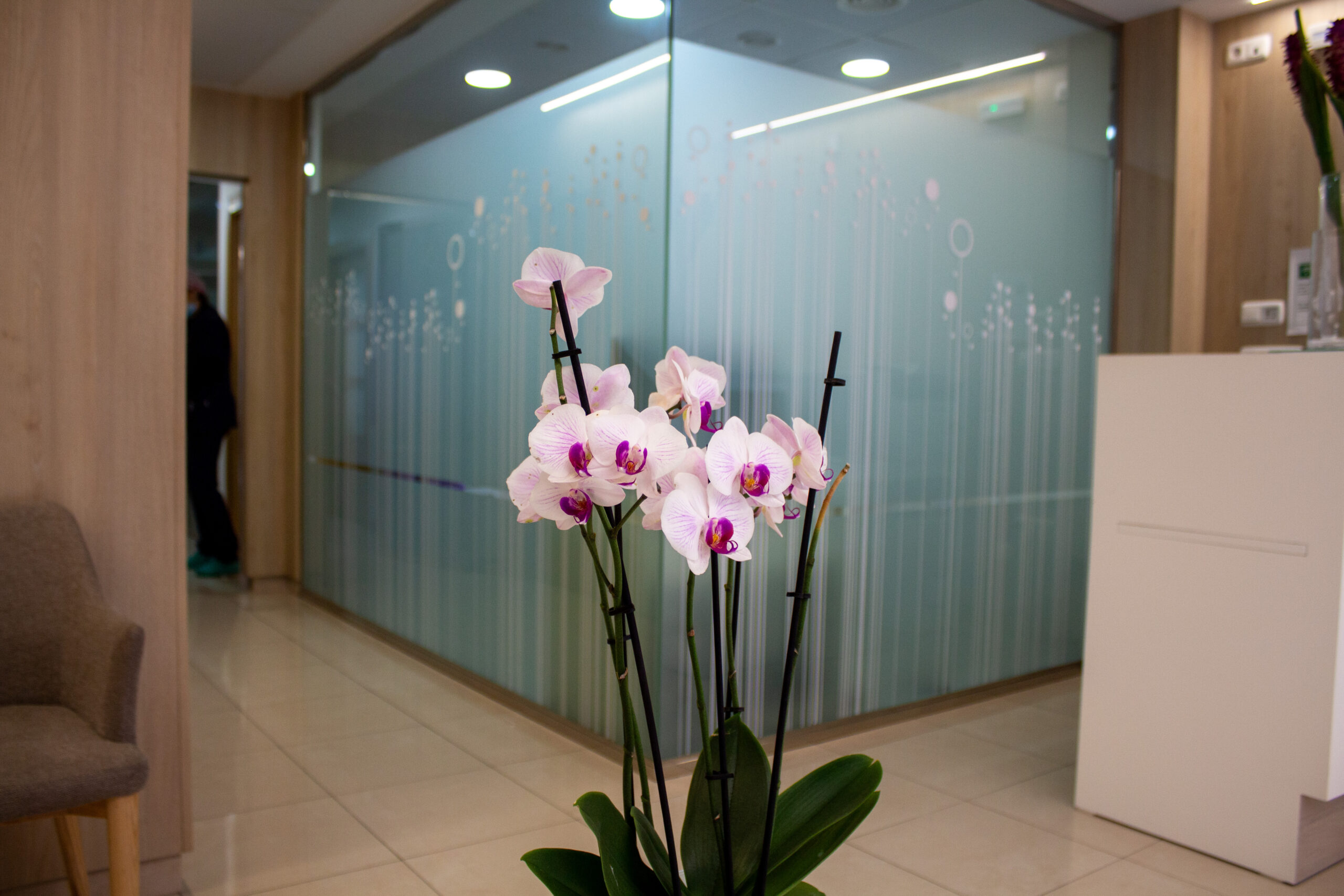 clinica alberto-05
