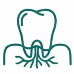 periodoncia